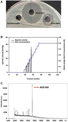 Phenotypic and genomic analyses of bacteriocin-producing probiotic Enterococcus faecium EFEL8600 isolated from Korean soy-meju